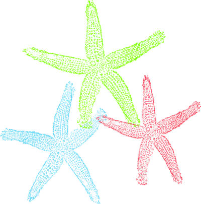 Starfish Free To Use Clip Art - Free Starfish Clip Art (400x405)