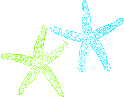 To Starfish Orange Red Clip Clipart Free Clip Art Images - Lime Green Starfish Clipart (400x312)