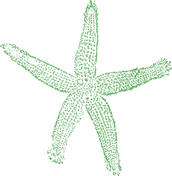 Starfish Cartoon - Fish Clip Art (582x595)