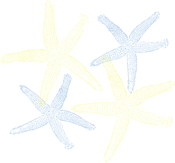 Starfish - Starfish Clip Art (600x559)