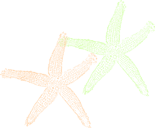 This Free Clip Arts Design Of Double Starfish - Fish Clip Art (600x493)