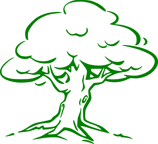 Green Oak Tree Clip Art - Oak Tree Drawing Easy (600x548)