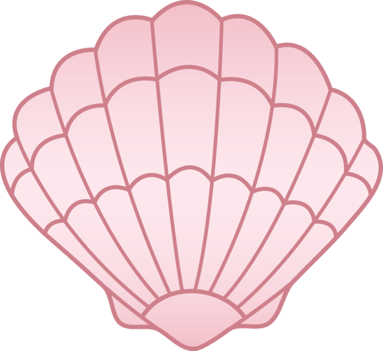 Sea Seashell Clipart - Shell Colouring Pages (550x504)