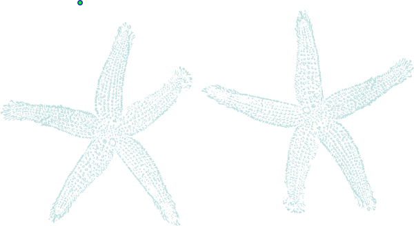 Light Blue Clipart Starfish - Starfish (600x328)