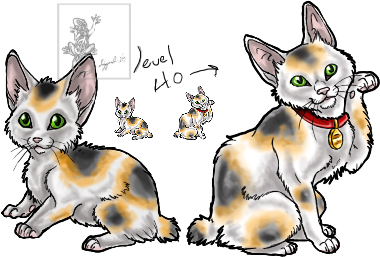 Japanese Bobtail Adoptable By Da-lizzard - Japanese Bobtail Calico Cat (800x518)