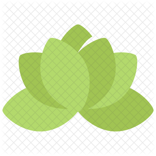 Lotus Icon - Illustration (512x512)