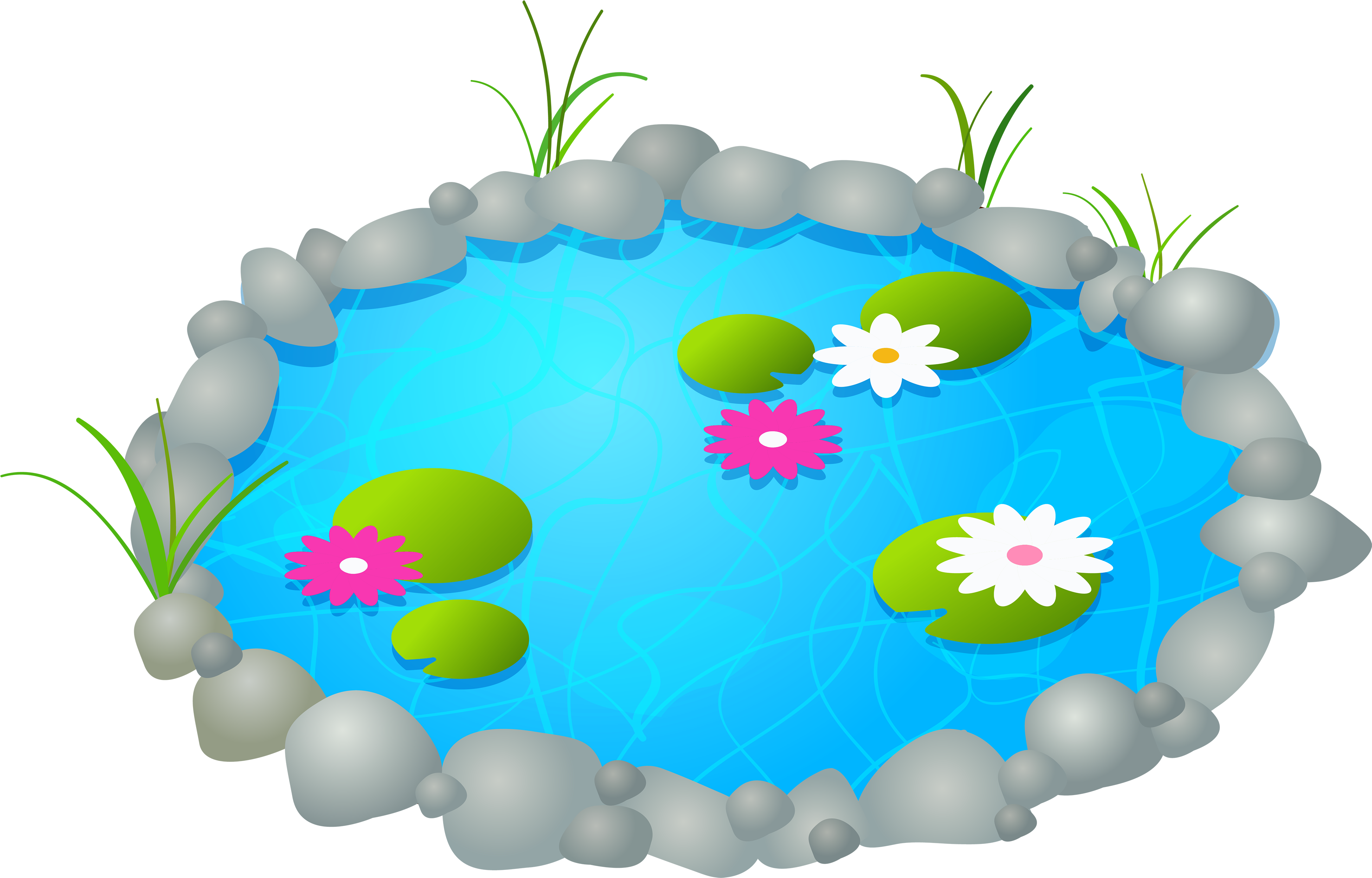 Lily Pad Clipart Pond Life - Lily Pad Clipart Pond Life (4000x2560)