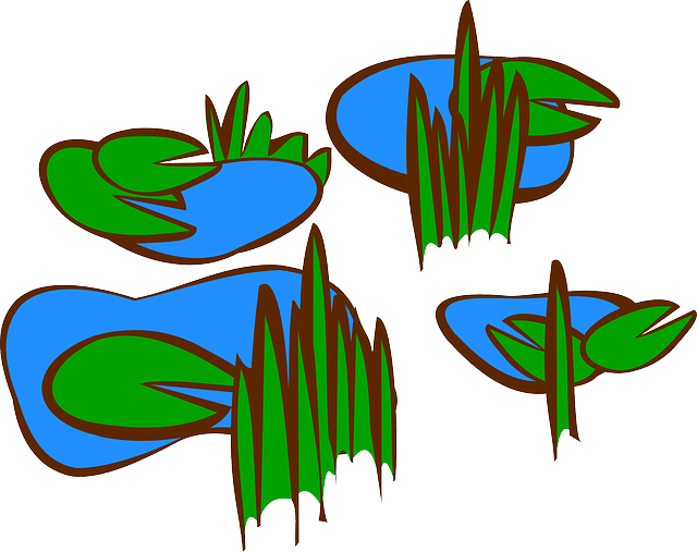 Lily Water, Map, Symbol, Reed, Symbols, Elements, Lily - Marsh Clip Art (640x507)