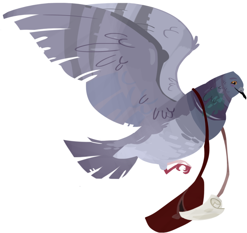 Drawn Pigeon Carrier Pigeon - Carrier Pigeon Png (900x900)