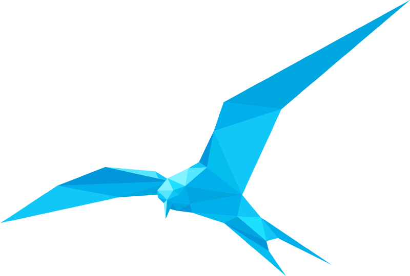 Cloud Server Hosting - Paper Bird Png (800x540)