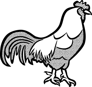 Chickens Cock Farm Hahn Rooster Rooster Ro - Cock Clip Art Black And White (359x340)