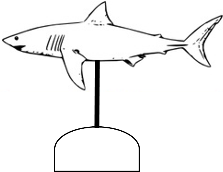 Shark Weather Vane Saw Pattern - Great White Shark In Black And White (758x584)