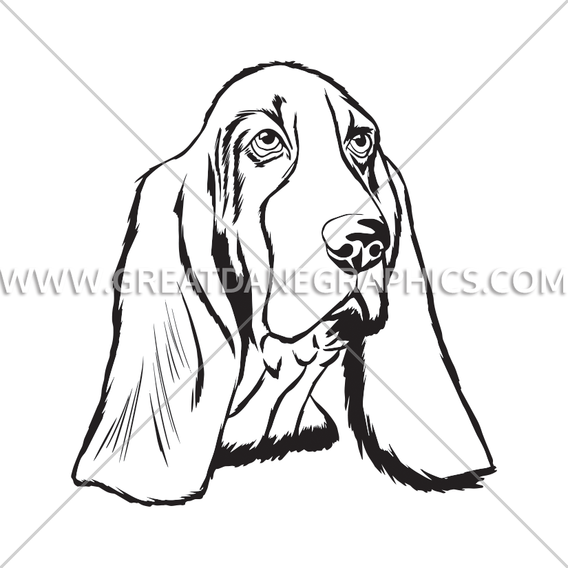 Basset Hound Face Black And White (825x825)