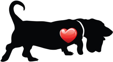 My Heart Basset Hound Nail Art Decals - Stock Illustration (480x480)