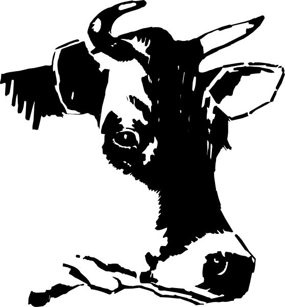 Cow Head Clipart Black And White - Head Of Cow Drawing (558x600)