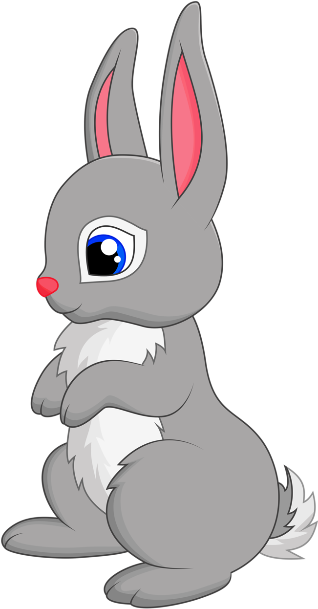 10 - Cartoon Rabbit (699x1280)
