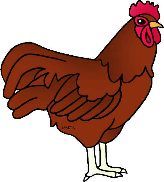 Chicken Clipart Rhode Island Red - Rhode Island State Bird (573x648)