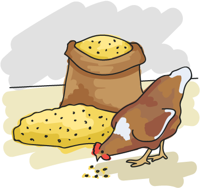 Illustration Of A Hen Pecking Some Feed - Pecking Order (401x401)
