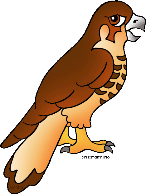 Red Tailed Hawk Clipart Clipart Panda - Clipart Of A Hawk (502x648)