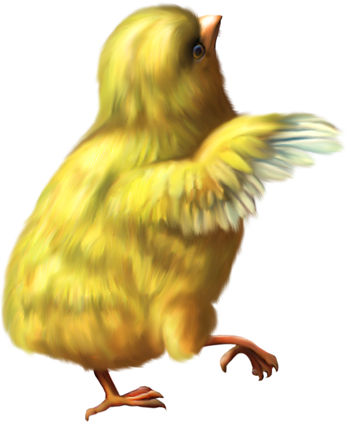 Yellow Baby Chicken Png Image - Good Morning Y All (731x877)