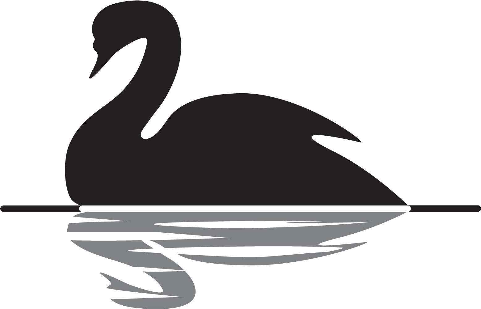 Swan Black And White Png (1592x1028)