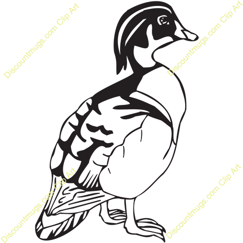 Duck Clipart Wood Duck - Clip Art Wood Duck (500x500)