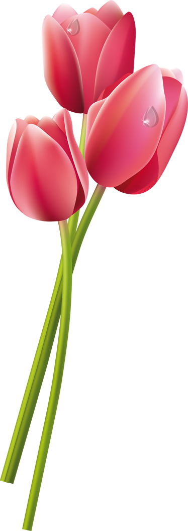 Wet Tulips Shower Sticker - Tulip And Fern Tattoos (374x1055)