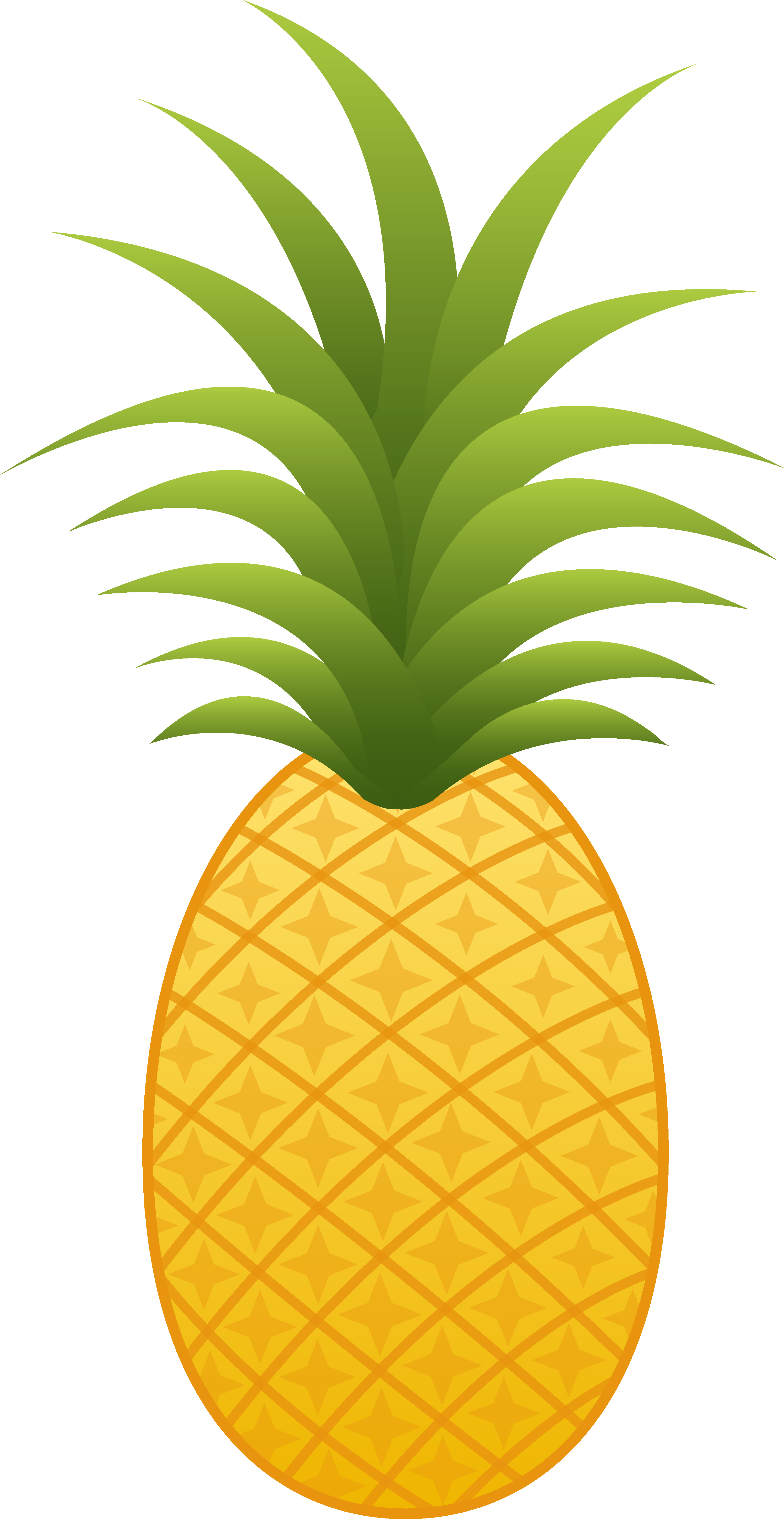 Pineapple Png Clipart - Pineapple Clipart Png (3062x5931)