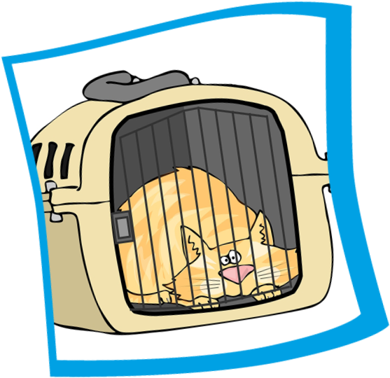 Mid Atlantic Cat Hospital - Royalty-free (576x557)