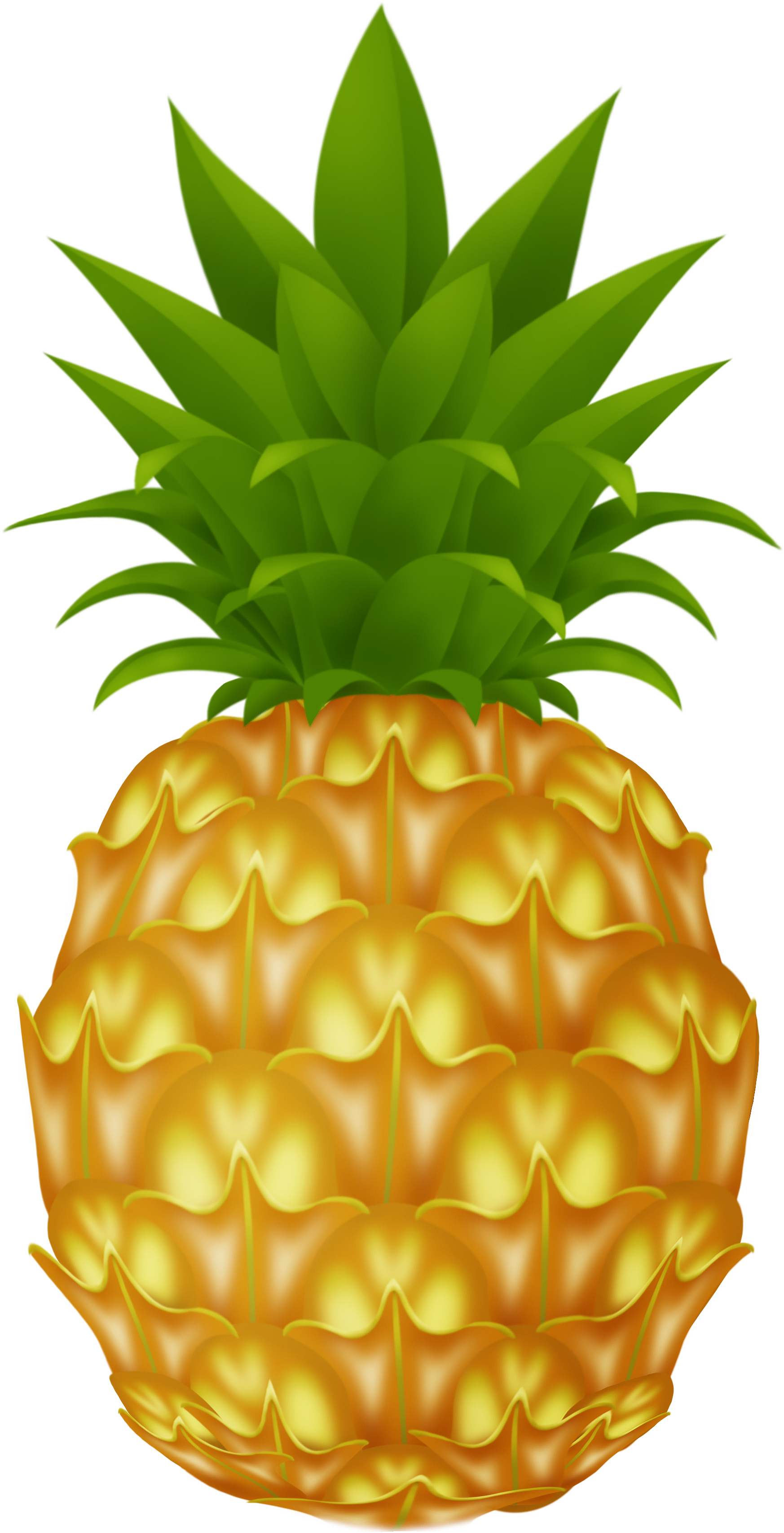 49 Free Pineapple Clipart - Pineapple Png (1919x3495)