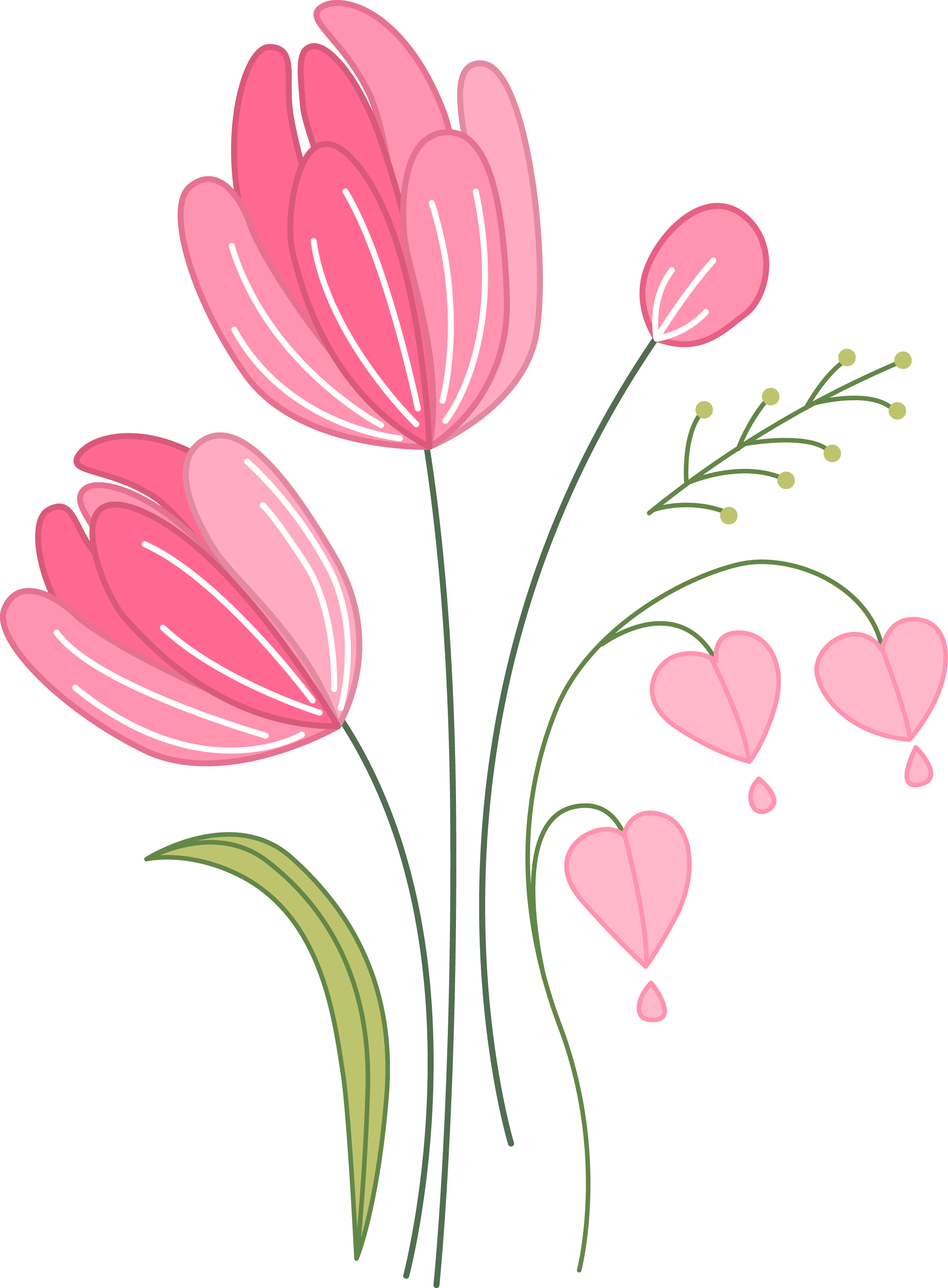 Tulip Euclidean Vector Computer File - Pink Tulips Png (2208x2999)