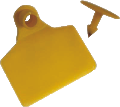 Animal Tag - Animal Tag (519x482)