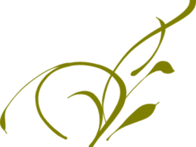 Vine Clipart Olive Green - Aisha Bint Abi Bakr (640x480)