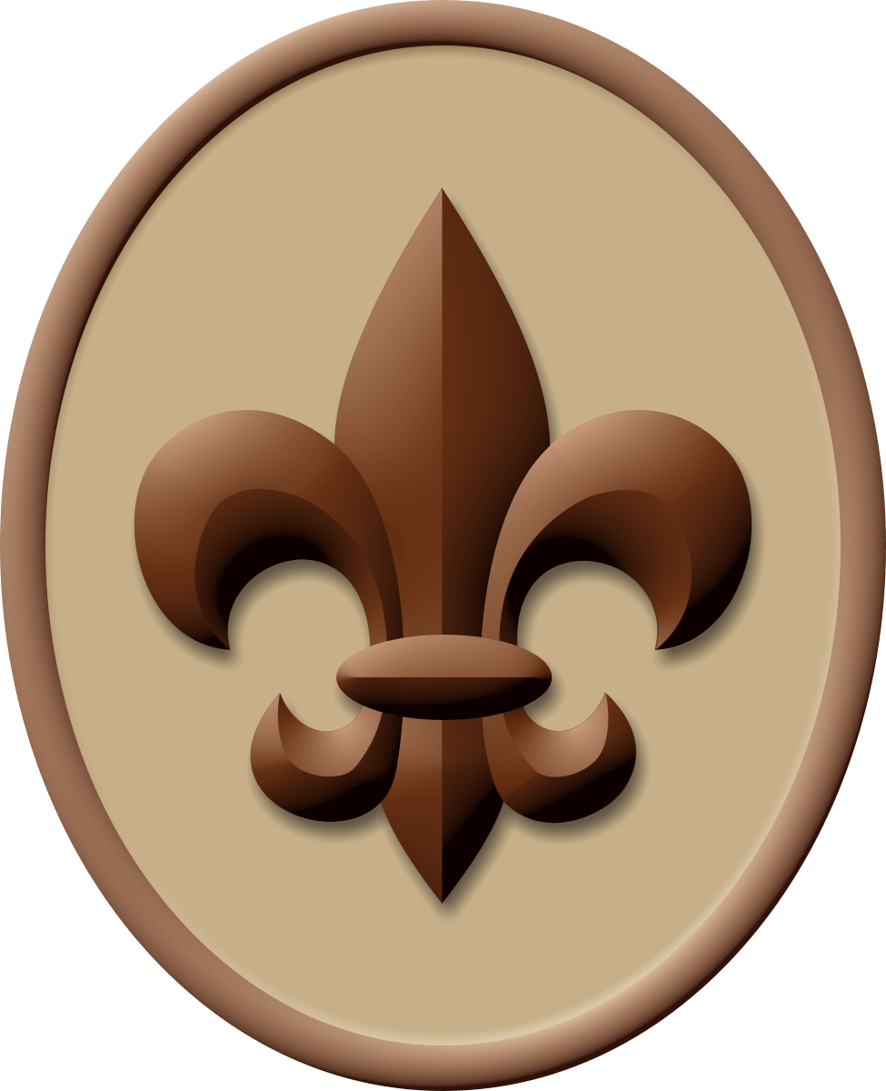 Boy Scout Scout Rank (975x1200)