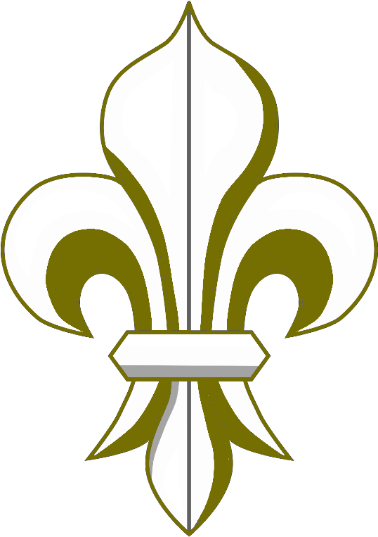 Interpol International Police And Intelligence Force - Police (545x777)