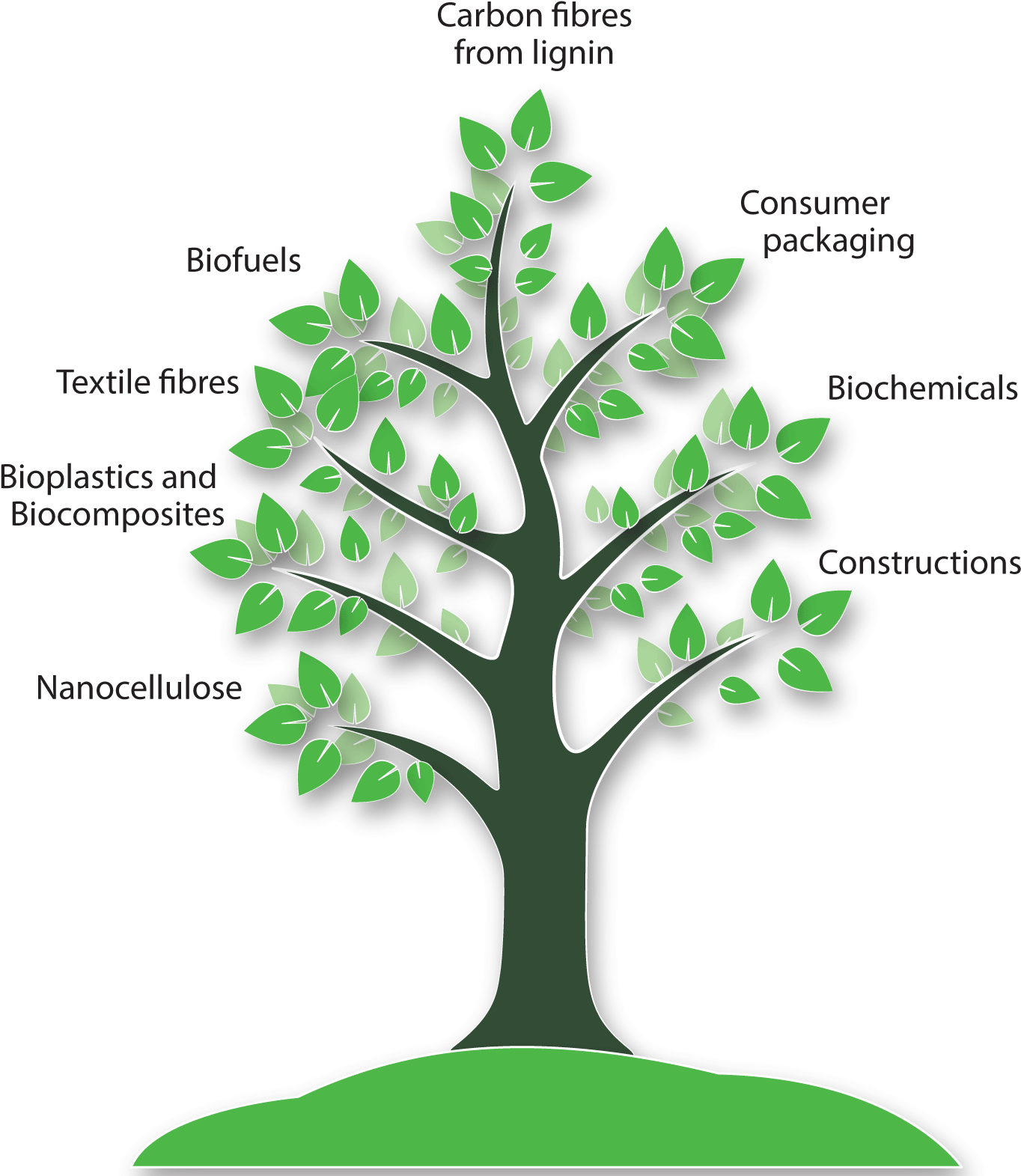Parts Of Bioeconomy Innovation Forum - Bioeconomy Innovation (1469x1680)