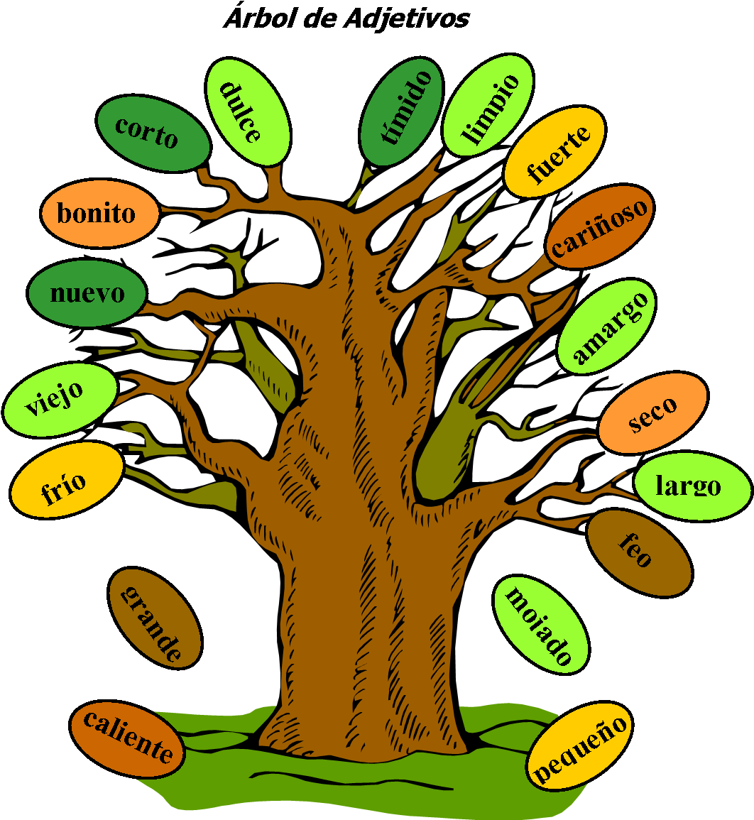 Tree Of Spanish Adjectives - Descriptive Words For Trees (1076x1159)