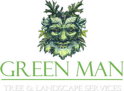 Tree Removal, Tree Care, Arborist, Waukesha, Milwaukee - Winter Solstice Greeting Card (417x331)