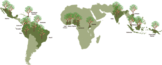 As The Cocoa Plant Is Extending Its Growth And Population, - British Empire Evolution Gif (544x221)