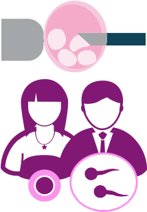Ivf/icsi Partner's Sperm - Ivf/icsi Partner's Sperm (350x350)