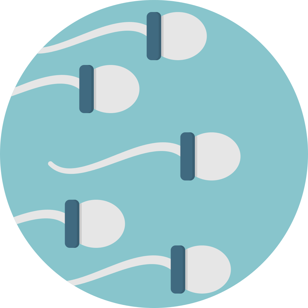 Creative Tail Sperm - Icon Sperm (1024x1024)