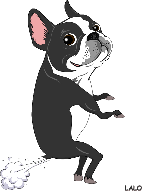 Boston Terrier Clipart I Love - Cute Cartoon Boston Terrier (568x762)