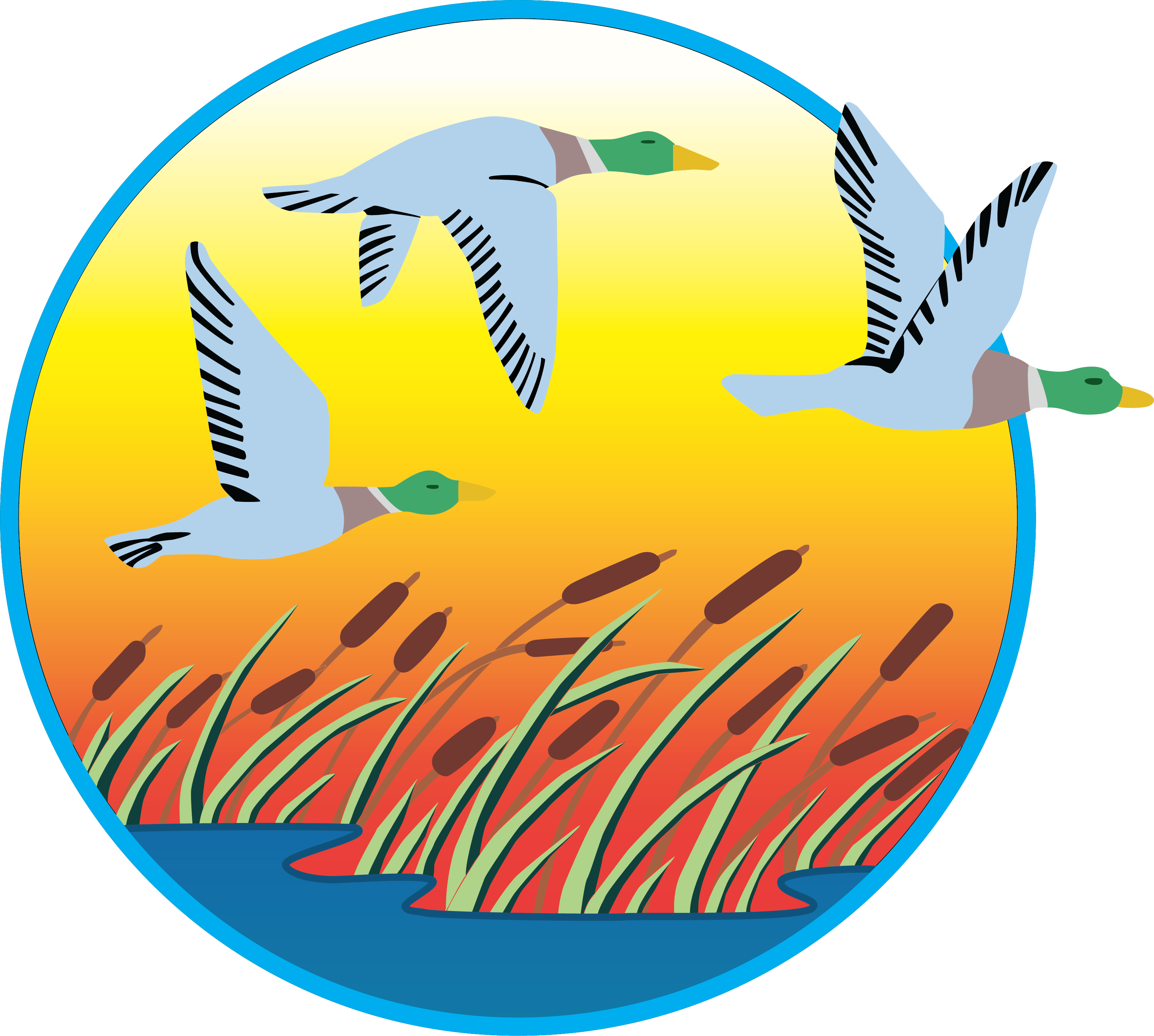 Do You Support Lowering The Speed Limit On U - Ducks, Geese And Swans (3299x2962)