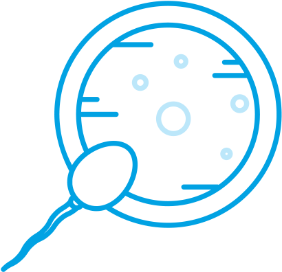Follow-up, Nurse And Embryology - Embryology (410x406)