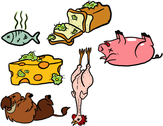 Food Spoilage Reminder Magnets By Chesney - Food (710x559)