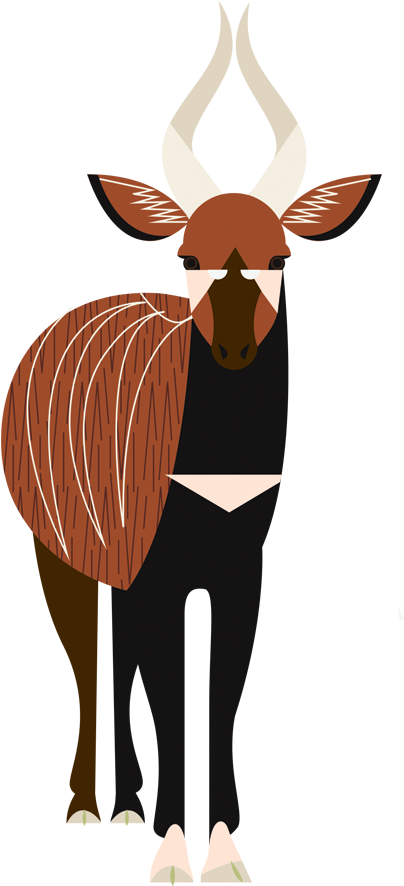 Penguin - Okapi (509x946)