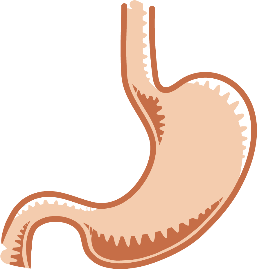 United States Of America (960x960)