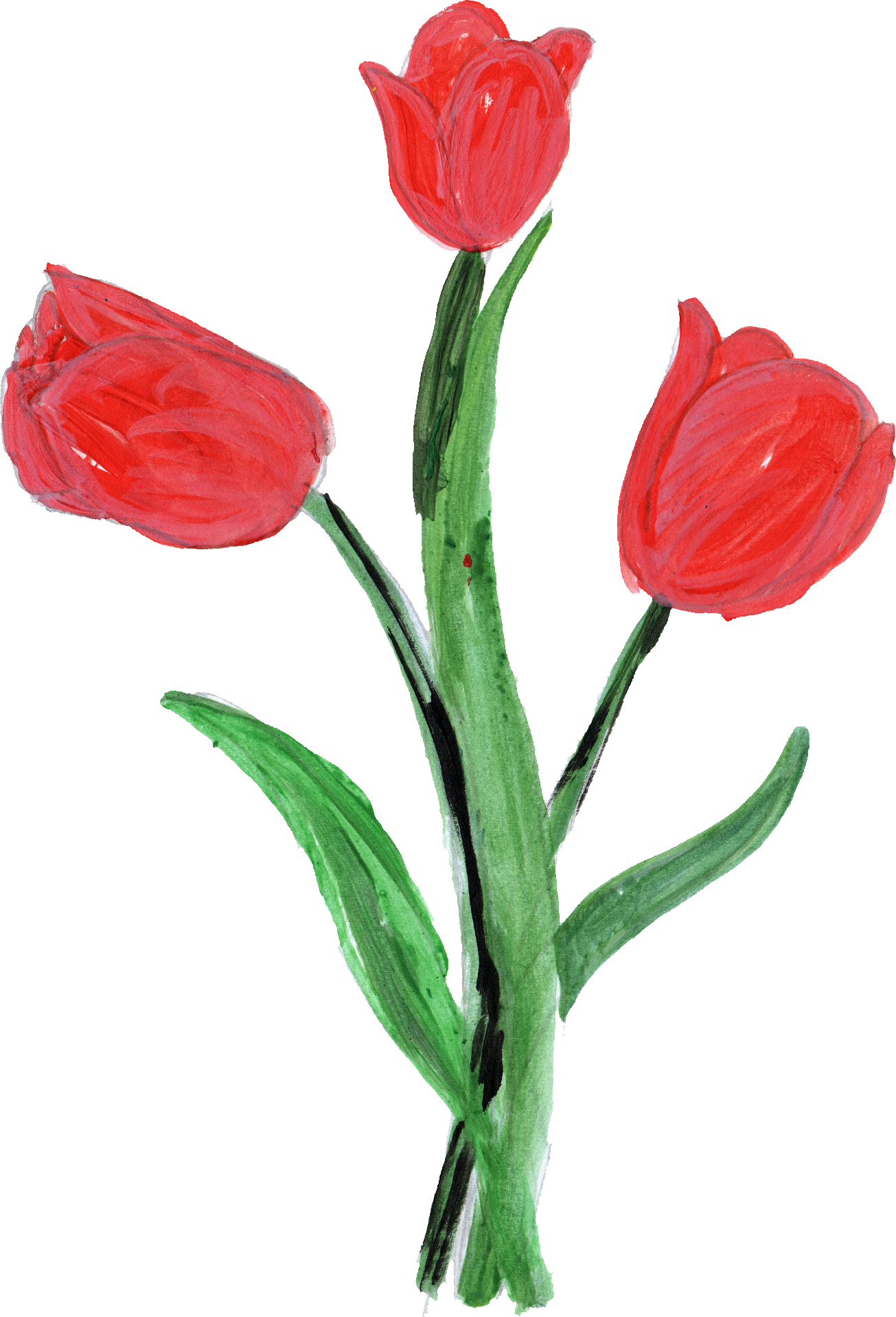 Free Download - Flower With Stem Paint (1305x1918)