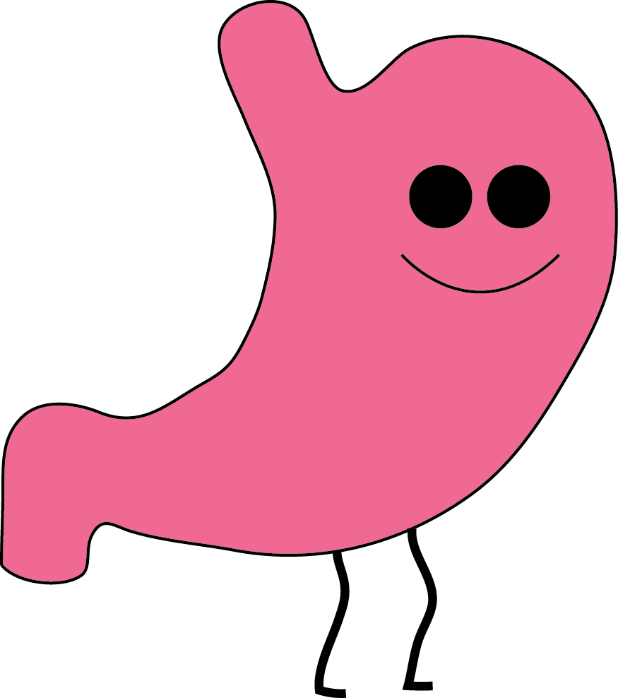 I Believe Your Health, Your Immune System, Starts In - Abdomen (875x988)