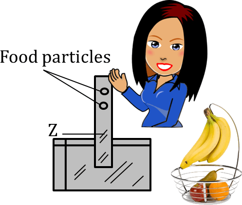 This Model To Simulate The Digestive System - Comic Girl Png (497x422)